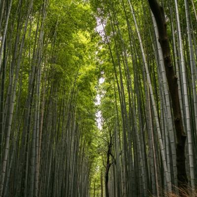 不败战神无限钻石版下载
